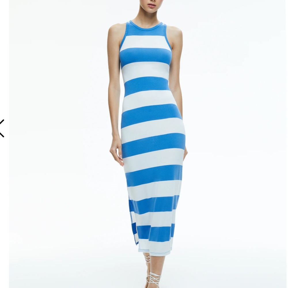 Alice and Olivia Pania dress